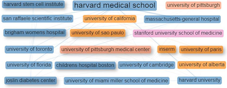 圖4：干細胞治療1型糖尿病研究的主要機構的合作網(wǎng)絡。