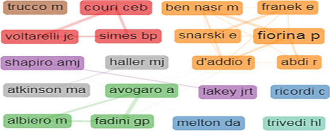 圖5：1型糖尿病干細胞療法的作者合作網(wǎng)絡。