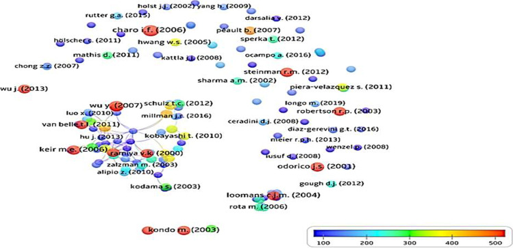 圖6：129篇干細胞治療1型糖尿病高引用出版物的引用計數(shù)網(wǎng)絡可視化
