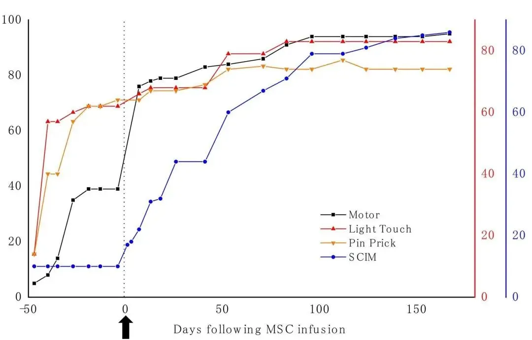 干細(xì)胞治療脊髓損傷的治療效果如何？