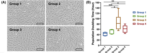 健康組（第1組）和2型糖尿病患者的自體骨髓來源間充質干細胞（BM-MSCs）的表征對比