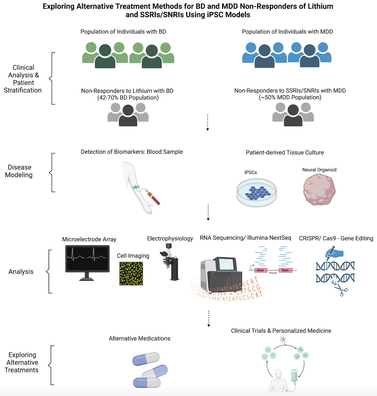 圖3-使用iPSC模型探索對(duì)鋰和SSRI/SNRI無(wú)反應(yīng)的BD和MDD患者的替代治療方法。
