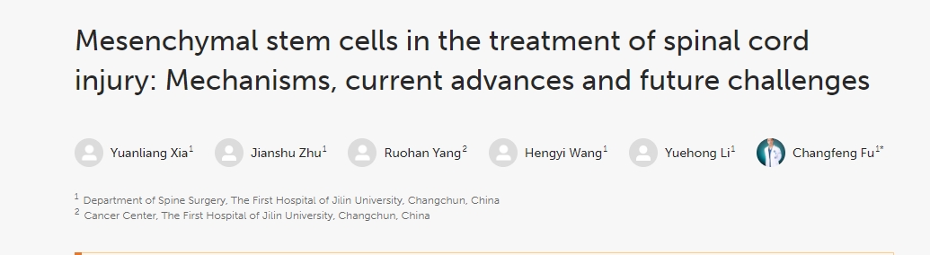 間充質(zhì)干細(xì)胞治療脊髓損傷:機(jī)制、當(dāng)前進(jìn)展和未來挑戰(zhàn) 間充質(zhì)干細(xì)胞治療脊髓損傷:機(jī)制、當(dāng)前進(jìn)展和未來挑戰(zhàn)