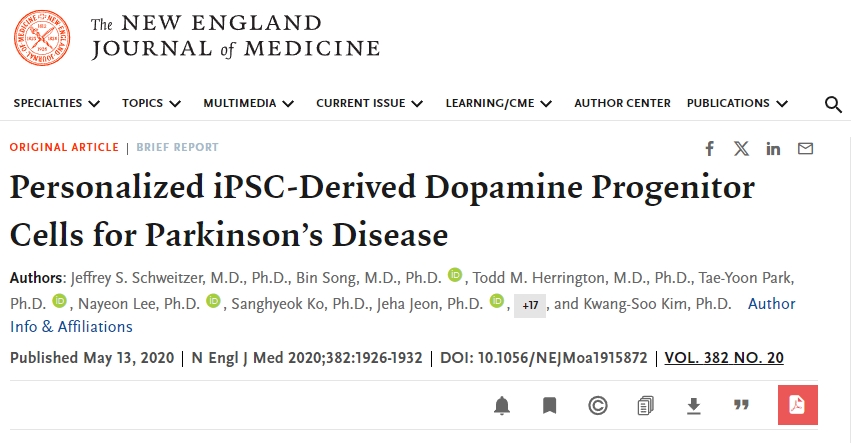 個性化 iPSC 衍生的多巴胺祖細胞用于治療帕金森病