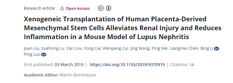 人類胎盤來(lái)源的間充質(zhì)干細(xì)胞異種移植可減輕狼瘡性腎炎小鼠模型的腎臟損傷并減少炎癥