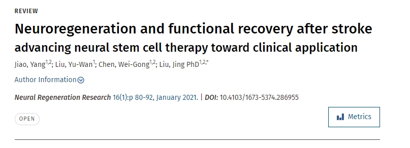 中風(fēng)后的神經(jīng)再生和功能恢復(fù)推動神經(jīng)干細(xì)胞治療走向臨床應(yīng)用
