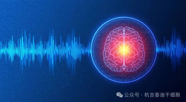 01神經(jīng)系統(tǒng)疾病的簡(jiǎn)介與背景 01神經(jīng)系統(tǒng)疾病的簡(jiǎn)介與背景