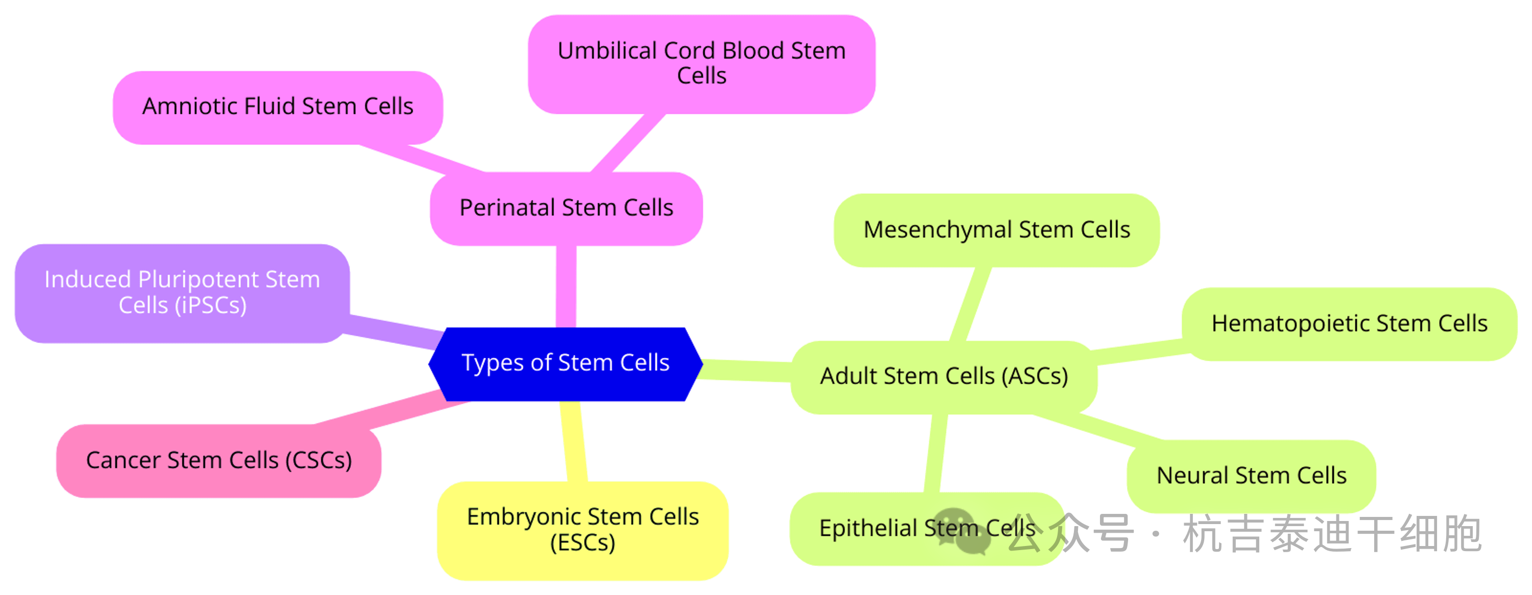 圖1:干細(xì)胞的類型
