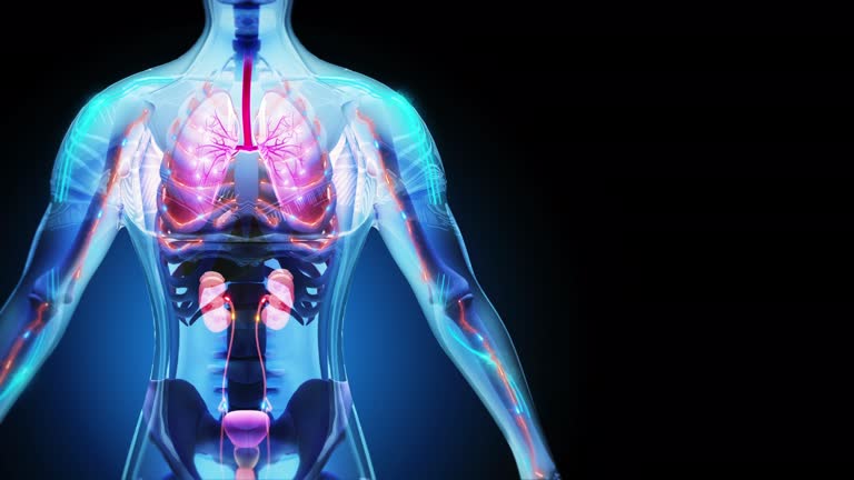 干細胞療法可以重建腎臟功能嗎? 干細胞療法可以重建腎臟功能嗎?