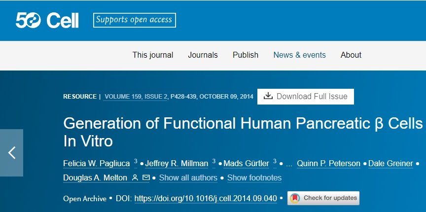 體外生成功能性人類(lèi)胰腺 β 細(xì)胞 體外生成功能性人類(lèi)胰腺 β 細(xì)胞