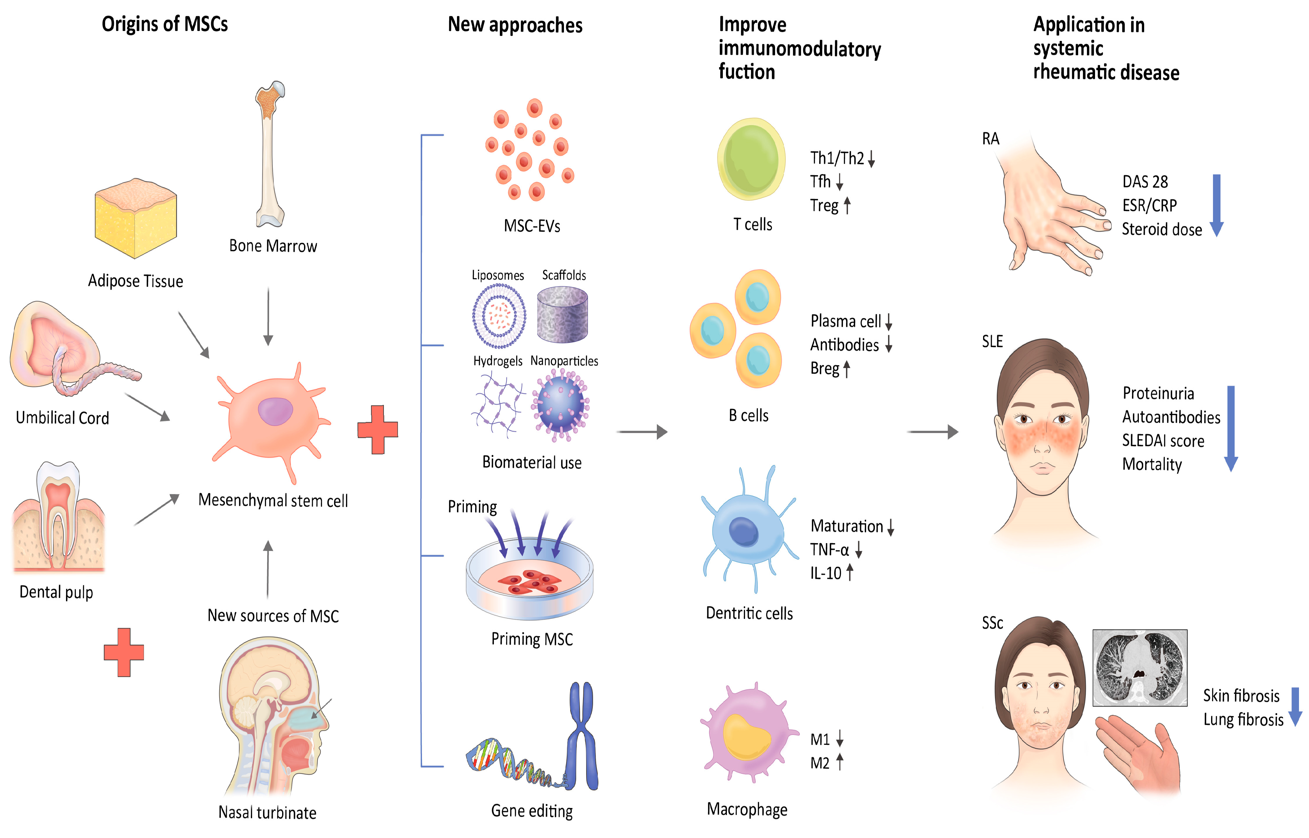 類風濕關節炎治療新方法：干細胞療法
