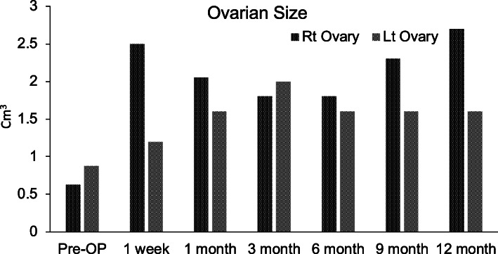 卵巢體積評估 卵巢體積評估