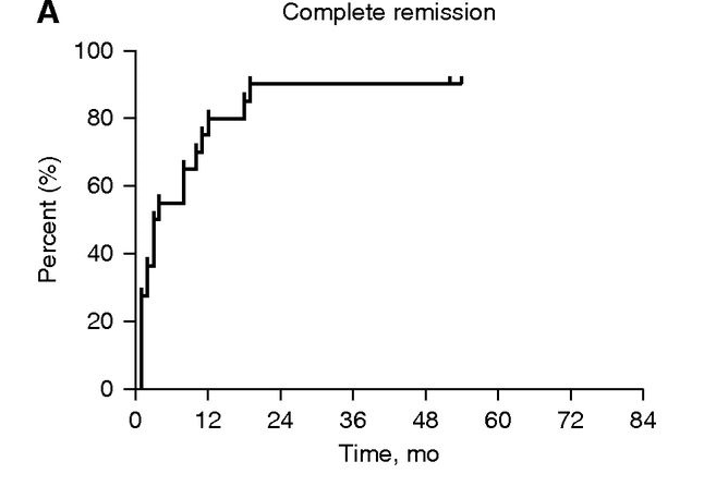 隊列中患者的完全緩解、腎臟存活（見圖3A，圖3B）