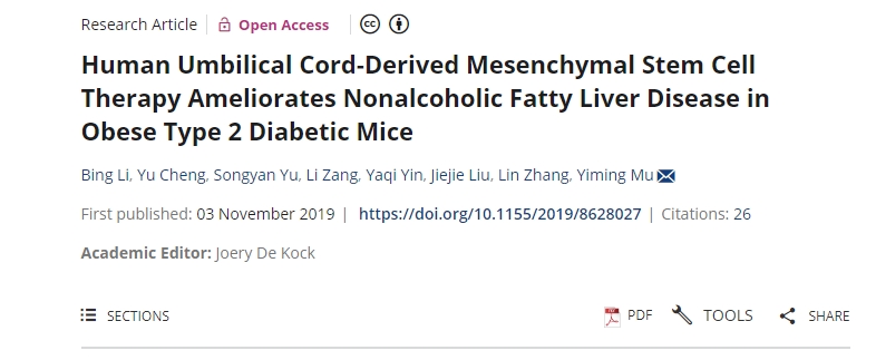 人臍帶間充質干細胞療法可改善肥胖2型糖尿病小鼠的非酒精性脂肪肝疾病 人臍帶間充質干細胞療法可改善肥胖2型糖尿病小鼠的非酒精性脂肪肝疾病