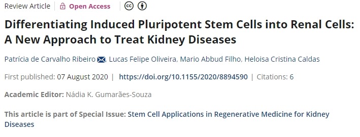 將誘導性多能干細胞分化為腎細胞:治療腎臟疾病的新方法 將誘導性多能干細胞分化為腎細胞:治療腎臟疾病的新方法