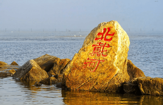 院士領(lǐng)銜,細(xì)胞療法“駛?cè)搿北贝骱樱’燄B(yǎng)勝地開啟醫(yī)療創(chuàng)新新篇章 院士領(lǐng)銜,細(xì)胞療法“駛?cè)搿北贝骱樱’燄B(yǎng)勝地開啟醫(yī)療創(chuàng)新新篇章