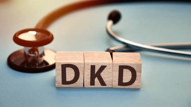 4類間充質干細胞及其衍生的外泌體在糖尿病腎病中的作用 4類間充質干細胞及其衍生的外泌體在糖尿病腎病中的作用