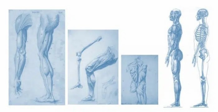 運(yùn)動(dòng)系統(tǒng)疾病如何治療？間充質(zhì)干細(xì)胞的治療效果怎么樣？