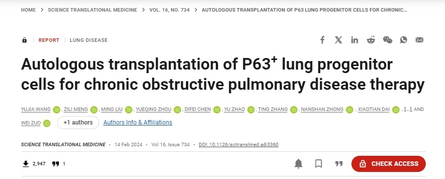 移植自體P63陽(yáng)性肺前體細(xì)胞用于慢性阻塞性肺病的治療 移植自體P63陽(yáng)性肺前體細(xì)胞用于慢性阻塞性肺病的治療