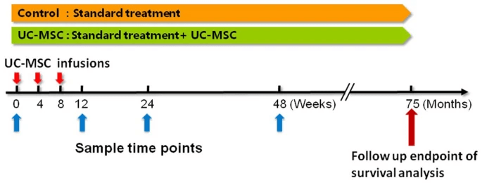 圖2:UC-MSC治療HBV相關失代償性肝硬化患者的方案 圖2:UC-MSC治療HBV相關失代償性肝硬化患者的方案