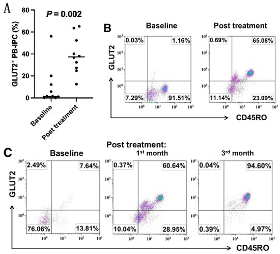 圖1：接受干細胞教育療法治療后，患者中GLUT2+CD45RO+PB-IPC 的百分比增加