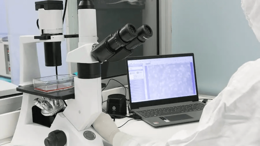 從實驗室到臨床：干細胞機構是如何生產高質量干細胞的？