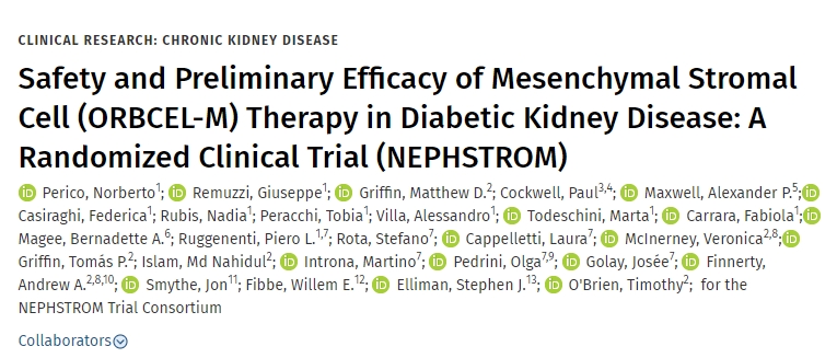 間充質(zhì)基質(zhì)細胞(ORBCEL-M)治療糖尿病腎病的安全性和初步療效:隨機臨床試驗(NEPHSTROM)