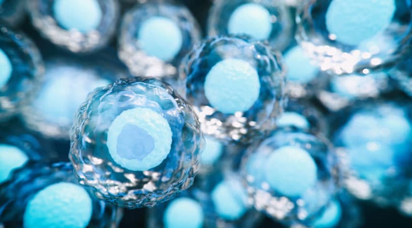 自體干細胞與異體干細胞治療糖尿病有哪些差異？