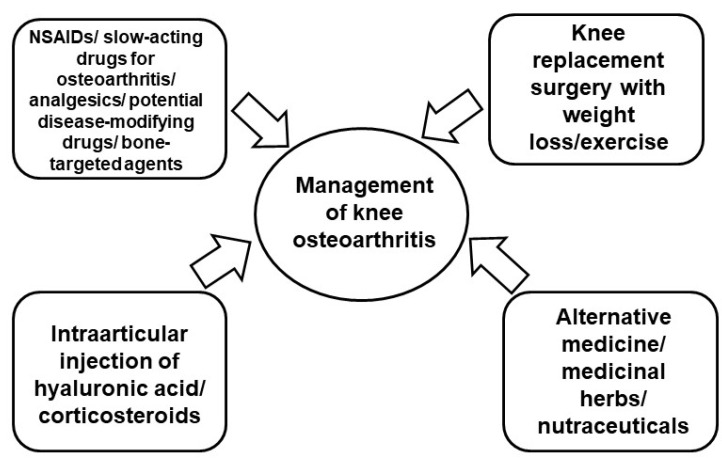 圖2:膝骨關節炎的當前治療策略。 圖2:膝骨關節炎的當前治療策略。