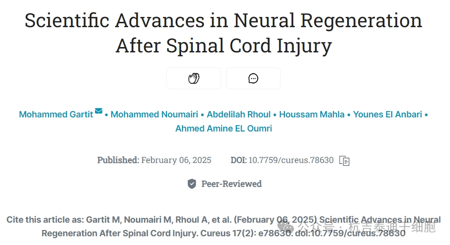 脊髓損傷后神經(jīng)再生的科學進展