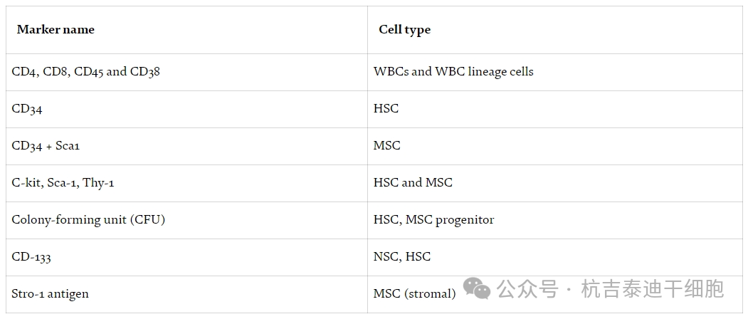 表2:用于識別基本干細胞類型的細胞表面標記。 表2:用于識別基本干細胞類型的細胞表面標記。