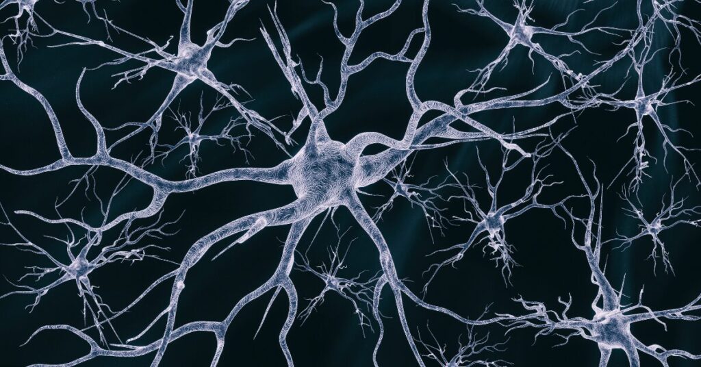 神經(jīng)干細(xì)胞移植在神經(jīng)退行性疾病治療和藥物開(kāi)發(fā)中的作用