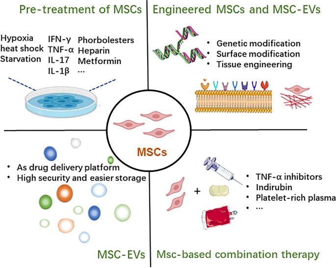 圖3:增強(qiáng)間充質(zhì)干細(xì)胞治療效果的方法。 圖3:增強(qiáng)間充質(zhì)干細(xì)胞治療效果的方法。