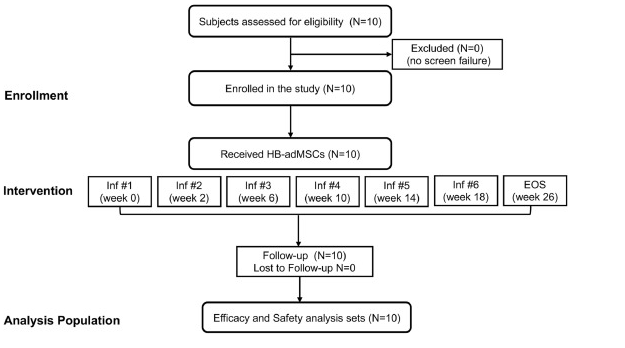中型擴(kuò)展訪問(wèn)計(jì)劃的 CONSORT 流程圖