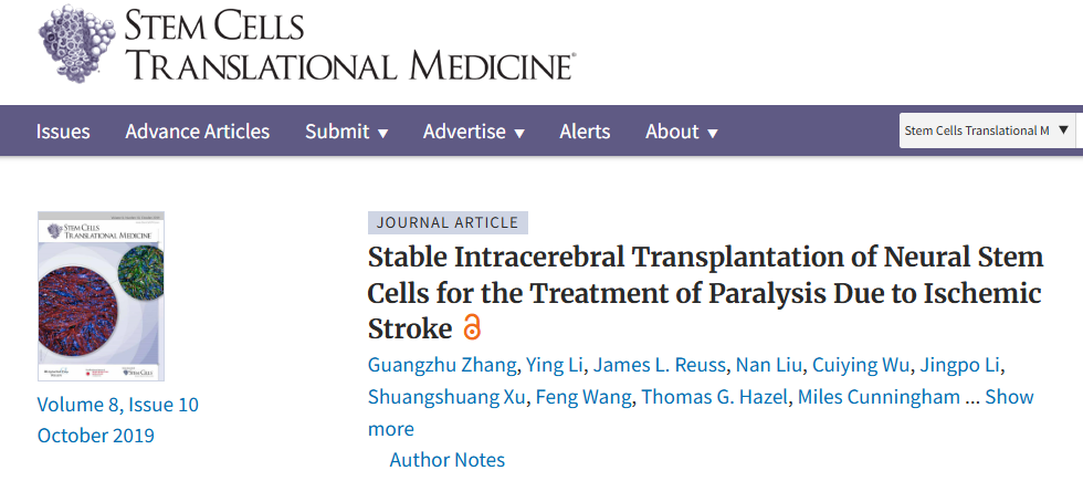 神經(jīng)干細胞穩(wěn)定腦內(nèi)移植治療缺血性中風所致癱瘓 神經(jīng)干細胞穩(wěn)定腦內(nèi)移植治療缺血性中風所致癱瘓