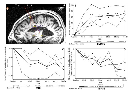 24 個月隨訪的臨床結(jié)果 24 個月隨訪的臨床結(jié)果