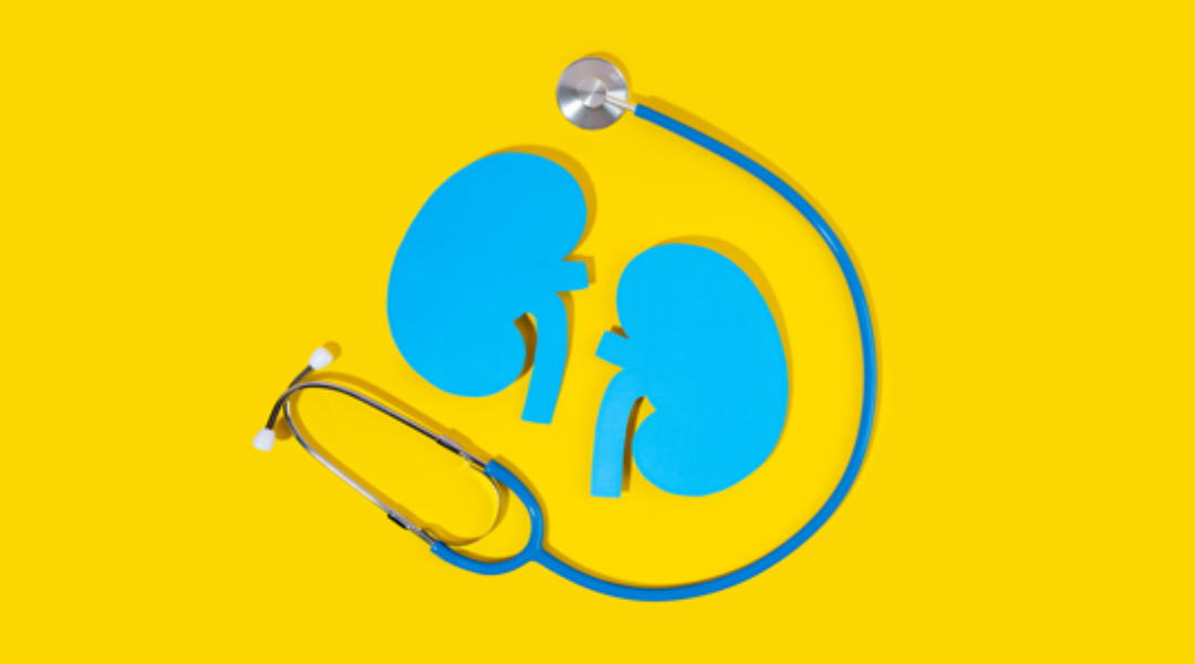 干細胞治療腎病:基因、年齡與疾病類型如何共同決定療效? 干細胞治療腎病:基因、年齡與疾病類型如何共同決定療效?