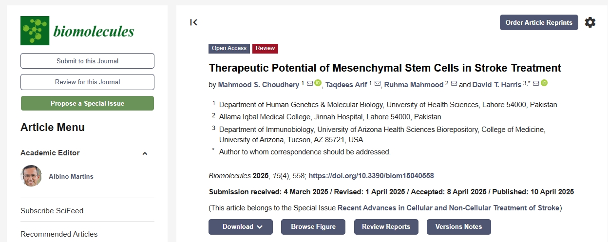 間充質干細胞在中風治療中的治療潛力