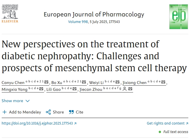 糖尿病腎病治療的新視角：間充質干細胞治療的挑戰與前景