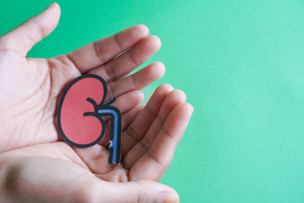 自體vs異體：不同來源的干細胞治療腎病患者的安全性有區別嗎？