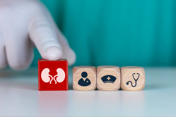 干細胞治療腎病的短期安全性：機制與臨床證據