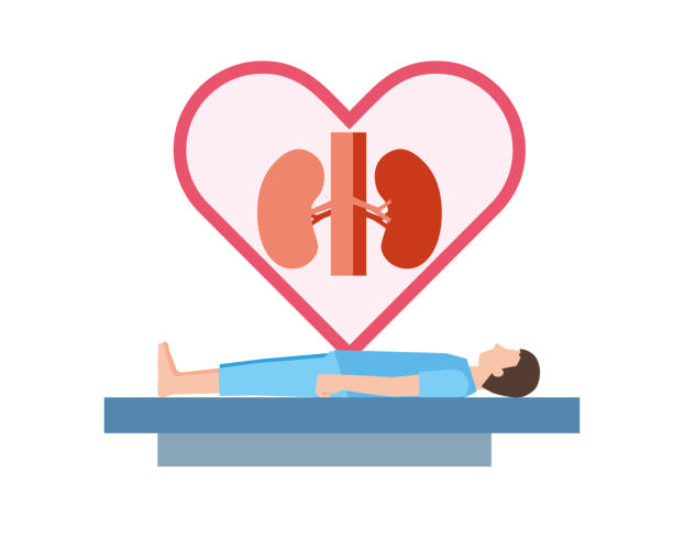 干細胞治療腎病的長期安全性如何?10年隨訪記錄告訴你答案 干細胞治療腎病的長期安全性如何?10年隨訪記錄告訴你答案