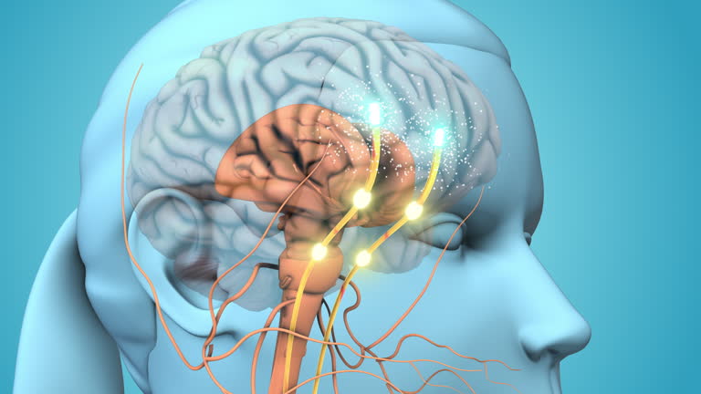 多個(gè)臨床試驗(yàn)測試干細(xì)胞治療帕金森病的安全性