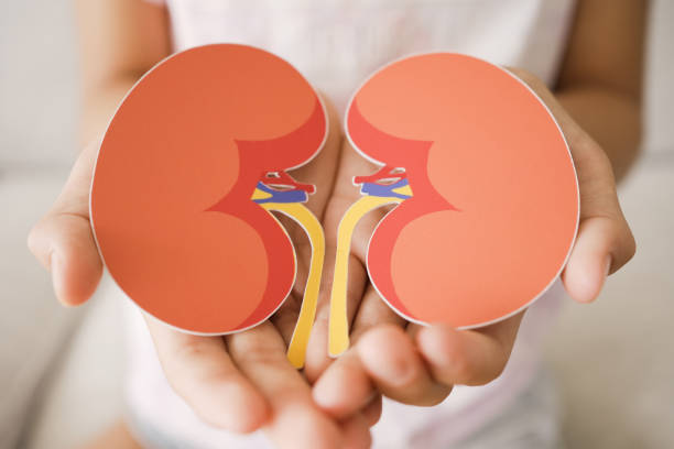 間充質干細胞治療腎臟疾病：真的安全嗎？