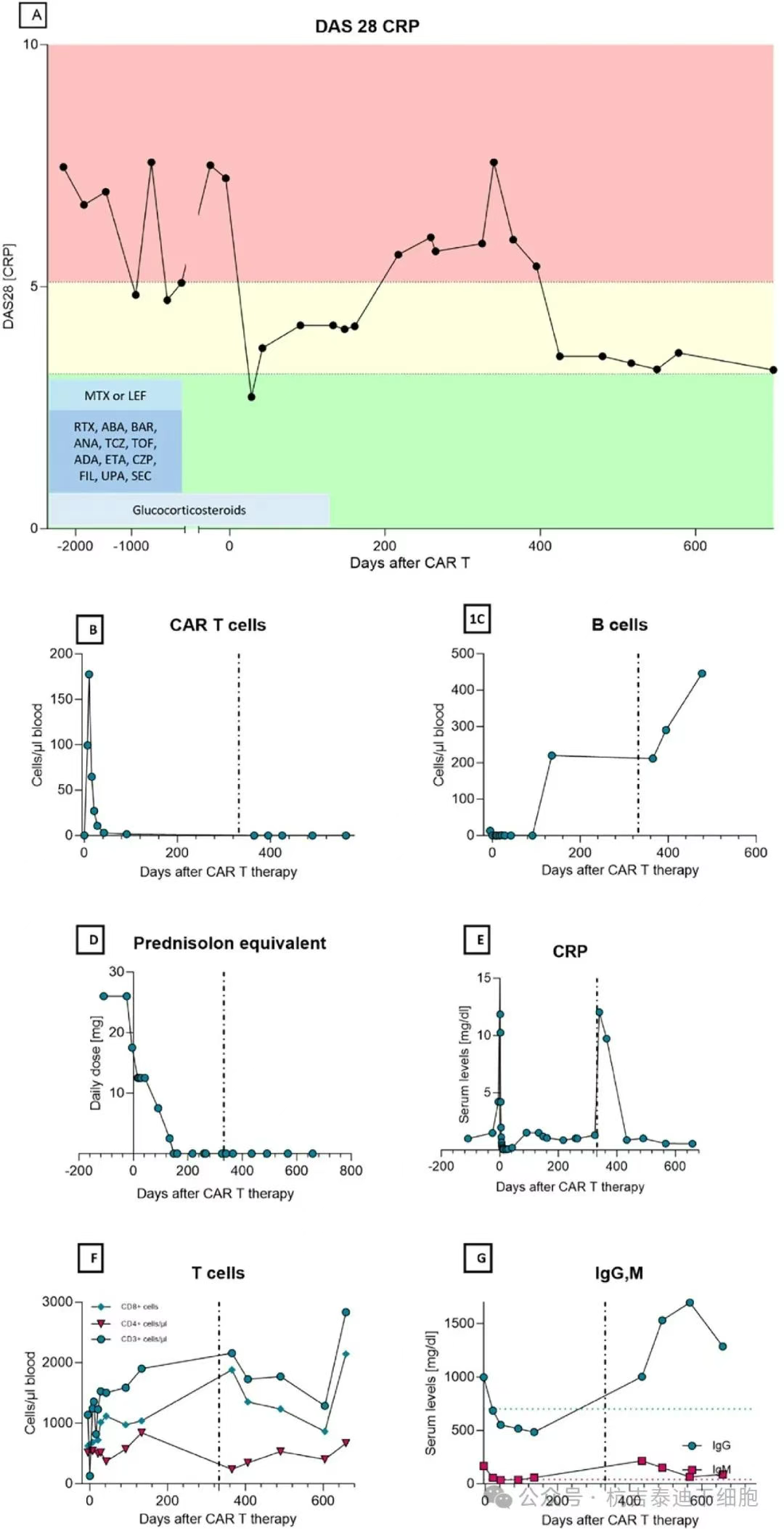 圖1：通過DAS28和依次給予的伴隨藥物測(cè)量的CAR-T細(xì)胞療法和HSCT在RA疾病活動(dòng)性方面的結(jié)果