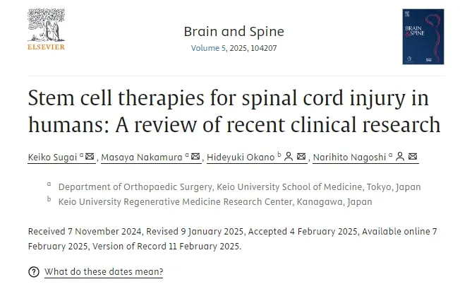 人類脊髓損傷的干細(xì)胞療法：近期臨床研究進(jìn)展與轉(zhuǎn)化路徑分析