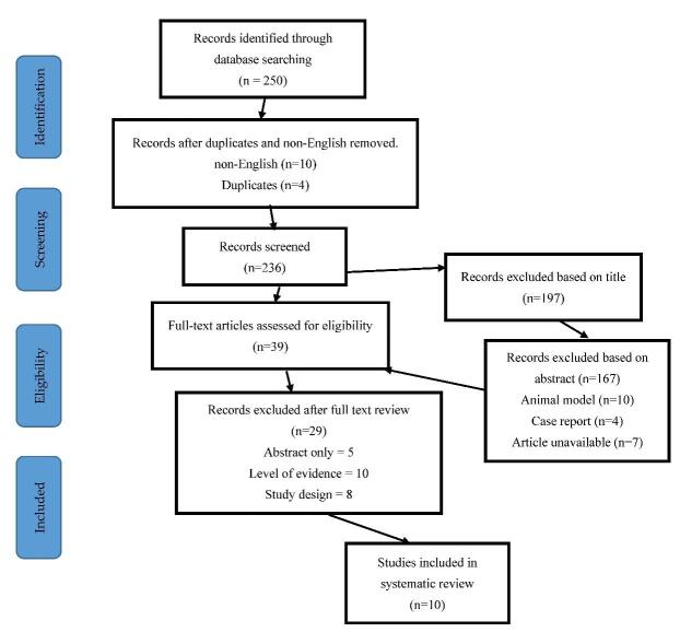 圖1：研究識別和選擇的流程圖-PRISMA圖（PRISMA，系統評價和薈萃分析的首選報告項目）。