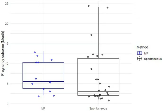 干細胞注射后每月的妊娠結局分布 干細胞注射后每月的妊娠結局分布
