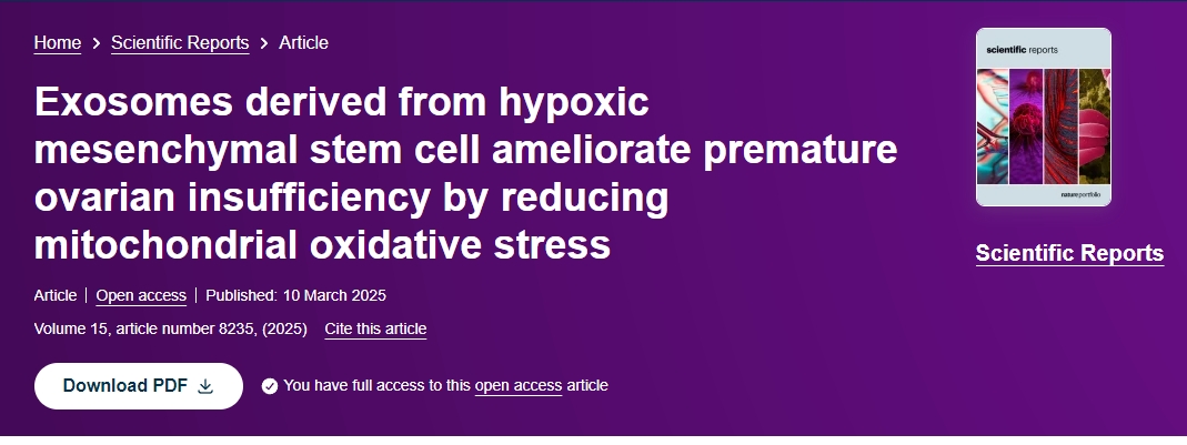 缺氧間充質干細胞來源的外泌體通過降低線粒體氧化應激改善卵巢功能不全