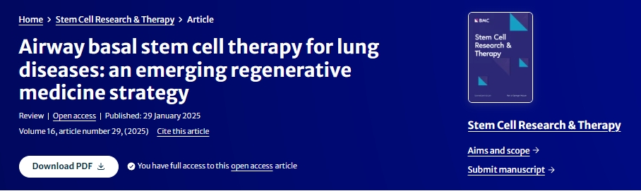 氣道基礎(chǔ)干細(xì)胞治療肺部疾病:一種新興的再生醫(yī)學(xué)策略 氣道基礎(chǔ)干細(xì)胞治療肺部疾病:一種新興的再生醫(yī)學(xué)策略